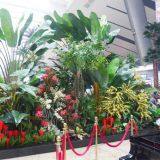 Artificial Plant and Trees thumbnail-2