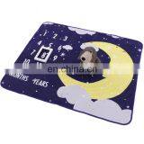 Wholesale Double Side Print Soft Monthly Minky Milestone Babies Blankets Customized Fleece Baby Blanket for Sleeping thumbnail-3