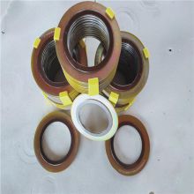 Seal ring - 304 outer ring + graphite - ASME standard quality assurance / complete model