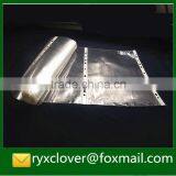 Transparent 11 Holes PP Plastic Sheet Protectors