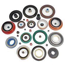 Hot Sale Wear Resistant Oil Seals NBR FKM ACM Frame Oil Seals TC TB TG TA DC SC Type Seals