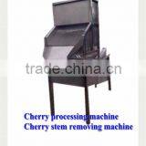 Fruit Stem Removing Machine / Chilli Stem Removing Machine thumbnail-3