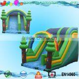 20 ft Tall Single Line Inflatable Dry Slide for Sale