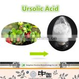 Hot sale Loquat leaf extract/Ursolic acid 98%/corosolic acid/Detoxifying plant extract