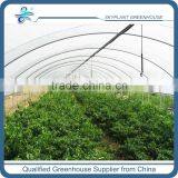 Greenhouse Spray Irrigation System for Vegetables Quality Choice thumbnail-2
