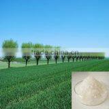 Hydrogel Super Absorbent Polymer For Forest Industry thumbnail-1
