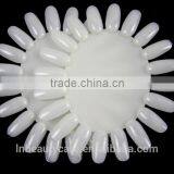 20 Colors Charts Nail Polish Gels Display Manicure Practice Round Wheel Polish Acrylic Display Decoration Nail Art Tip thumbnail-3