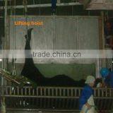 Cattle Slaughtering Line thumbnail-5