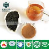Food supplement Green tea extract 95% polyphenol which is pure and organic Macha powder