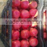 Fresh Pomegranate For Sale thumbnail-4