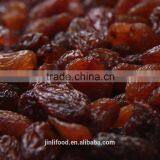 2016 Red Sultana Raisin thumbnail-2