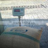 VIETNAM HIGH QUALITY WASHED ARABICA COFFEE BEANS, GRADE 1, SCREEN 16 thumbnail-4