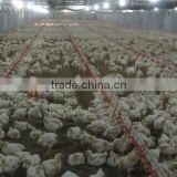 Poultry farm equipment for sale/plan for chicken house building