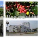 Spray Dried Instant Coffee thumbnail-2