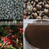 Coffee Beverage thumbnail-1