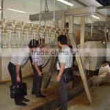 High Quality Broiler Chicken Slaughter /poultry Processing Machine/poultry Slaughter Line 008618052092685 thumbnail-4