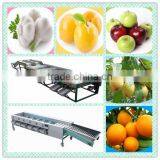 Thoyu Brand Stainless Steel Fruit and Vegetable Grading Machine With Low Price(SMS:0086-15903675071) thumbnail-1
