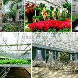 Vegetable Greenhouse thumbnail-4