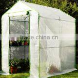 Walk In Greenhouse With Staging & PE Cover thumbnail-1