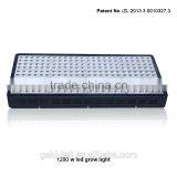High Power Hydroponics Systems Led Grow Light From Shenzhen Factory thumbnail-2