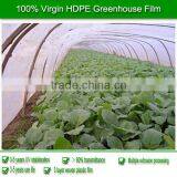 Best Selling Mushroom Film , Greenhouse Film for Mushroom Farm thumbnail-6