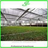 2014 hot sale glass greenhouse used for flower