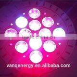 2017 Factory Price Led Grow Light 18w Table Plant Par Light LED thumbnail-1