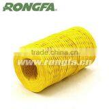 Wireless Colorful Two Trands Twisted Paper Rope thumbnail-2