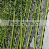 Artificial bamboo trees,high imitation wooden decorative bambootree