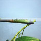 Curtain Home Garden Decorative Edging 3ft to 17ft Height Outdoor Simulation Green Bamboo Poles EZZZ06 1001 thumbnail-4