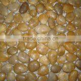 Chinese Yellow Mesh Pebble Stone&Cobble thumbnail-1