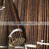 Natural Clean Dry Straight Cheap Treated Black Bamboo Poles thumbnail-3