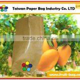 TPBI Fruit and Vegetables Packaging Materials Growing Paper Bag Protection Paper Bag thumbnail-1