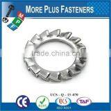 Made in Taiwan Passivated Zinc Plated External Tooth Lock Serrated Washer Stainless Steel Carbon Steel thumbnail-1