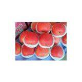 Apple,apple Supplier,Chinese Fuji Apple Supplier,Fuji Apple thumbnail-2