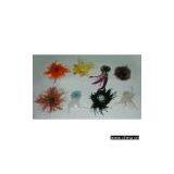Sell Feather Flowers thumbnail-1
