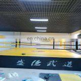 Heavy-guage Steel Boxing Ring thumbnail-4