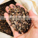 Shakti Acupressure Therapy Mat Massage Spike Mat Set of Massage Pillow and Massage Mat thumbnail-4