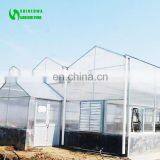 Agriculture Greenhouse, Polycarbonate Greenhouse With Black-out System for Medical Planting thumbnail-6