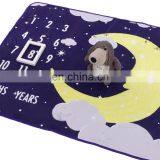 Wholesale Double Side Print Soft Monthly Minky Milestone Babies Blankets Customized Fleece Baby Blanket for Sleeping thumbnail-1