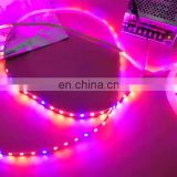 5M LED Full Spectrum 300 LEDs 5050 Chip Waterproof Led Grow Strip Light For Greenhouse Hydroponic plant