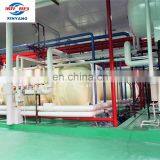 China Xinyang Industrial Commercial Vacuum Freeze Dry Mango Strawberry Durian Fruit Machine Price thumbnail-4