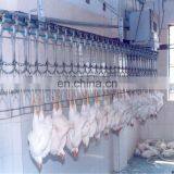 Poultry Processing Slaughtering Equipment For Chicken Slaughterhouse thumbnail-6