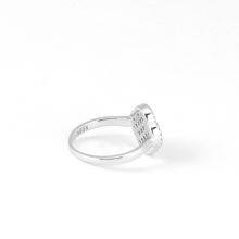 S925 Sterling Silver Four-leaf Clover Ring Female Agate Zircon Rings Simple Style Ring thumbnail-3