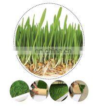 OrangeMech Automatic Hydroponic Fodder System For Cow Farm Use With Low Cost thumbnail-2