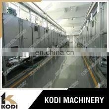 DW Series Continous Hot Air Banana Chips Belt Dryer Machine Fruit Vegetable Belt Drying Machine thumbnail-2