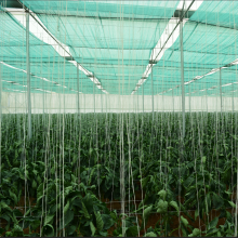 Sunshade Net Shade Net for Agriculture Shade Sails Enclosure Nets Protection UV Outdoor HDPE 50-150GSM thumbnail-5