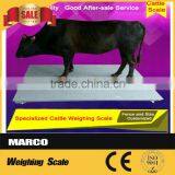 China 1Ton Digital Used Livestock Scales for Sale thumbnail-6