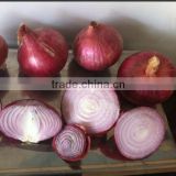 2014 fresh red onion with best price for sale                        
                                                Quality Choice