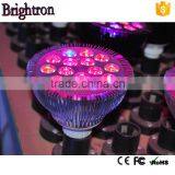 Economical Price New Adjustable Full Spectrum Orchid and Other Flowers Led Grow Light thumbnail-2
